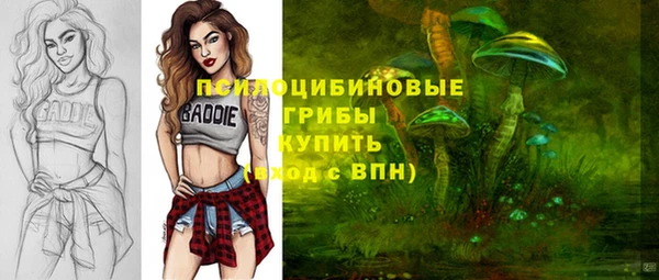 ECSTASY Аркадак