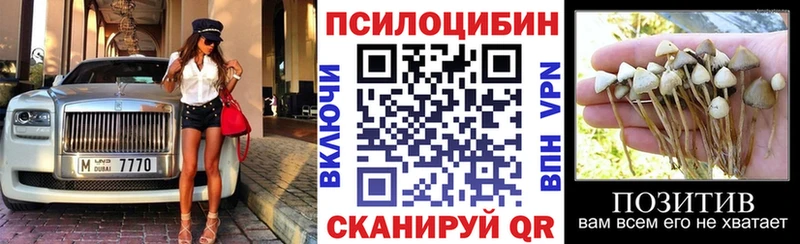 где купить наркоту  Кущёвская  Галлюциногенные грибы прущие грибы 