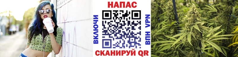 Канабис сатива  где купить наркотик  Кущёвская 